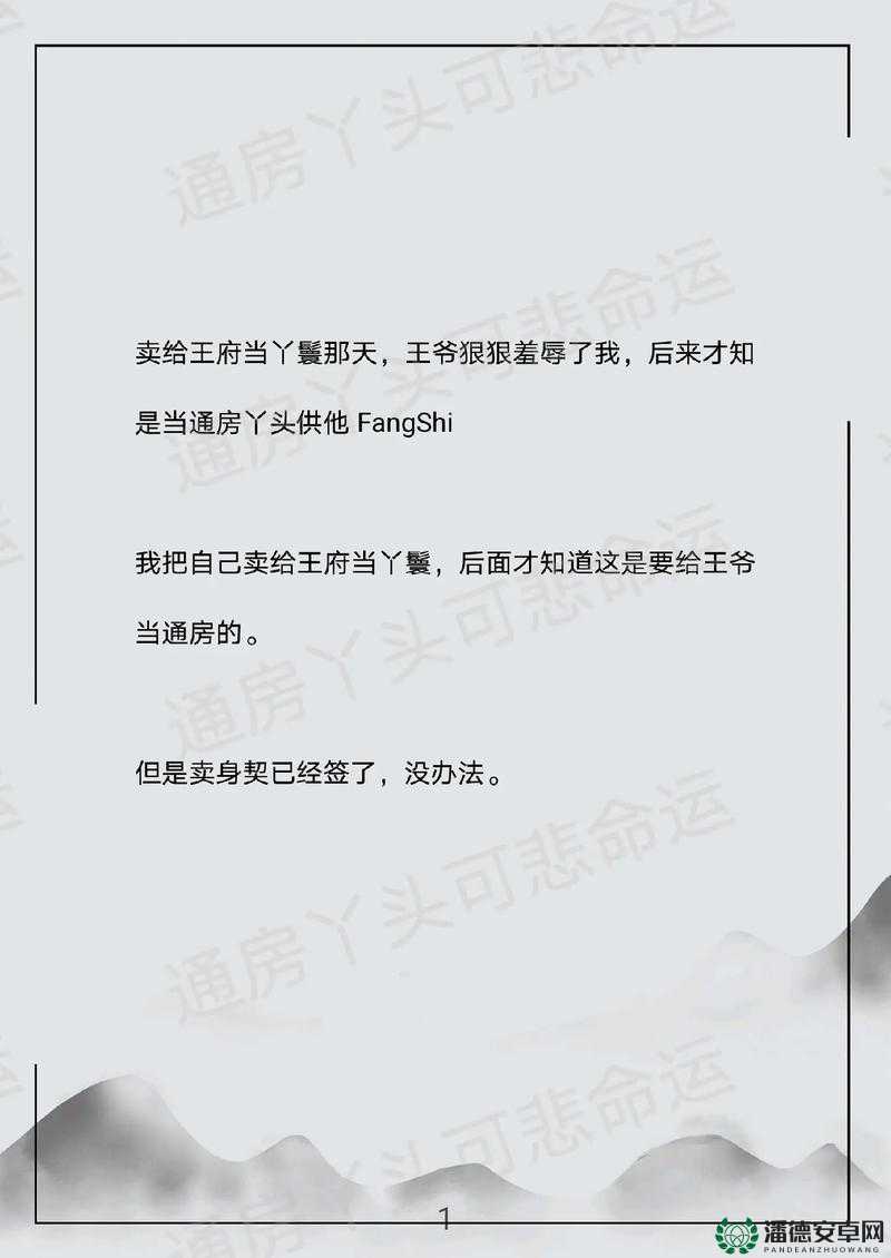 哑巴通房丫鬟的奋斗史：从丫头到夫人的 11 小时