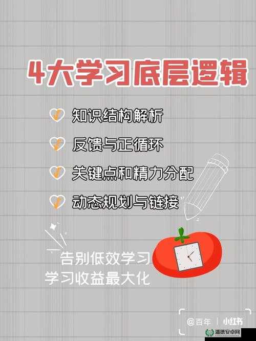 海岛大亨4秘籍作弊码全揭秘，底层逻辑如何映射到实战操作中？