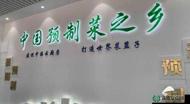 九一果冻制作厂是什么？它有怎样的历史和特色？一起来了解一下