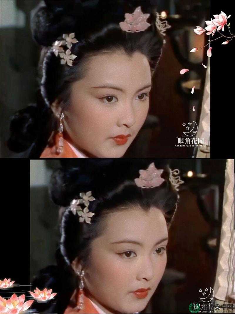 王昭君电视剧2007免费观看全集中文版在线播放，重温经典历史剧的感人故事