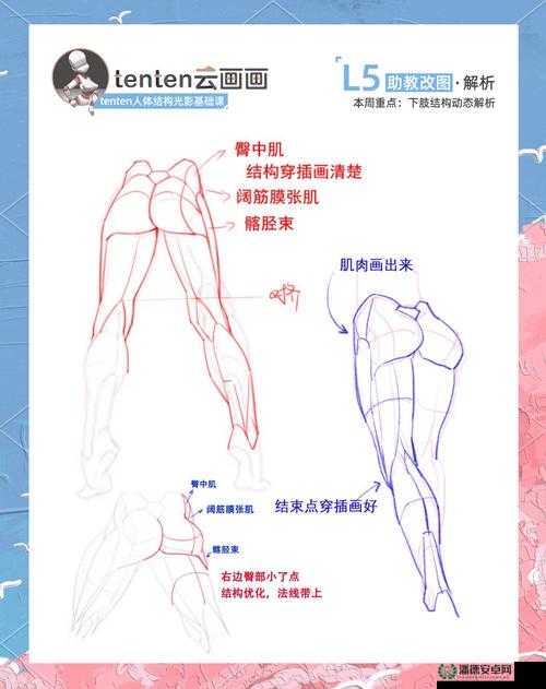 谢菲尔あちゃんが腿法的独特魅力与实战技巧解析，助你掌握高效腿法训练方法