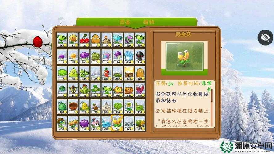 植物大战僵尸幼儿园版游戏作者是谁？全面攻略指南大揭秘！