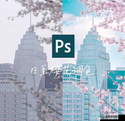 如何调出大片感？免费 PS 调色大全，让你的照片瞬间提升