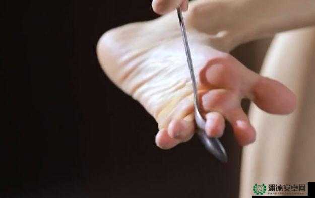 探秘黑土腿法娴熟的出处：传统武术的瑰宝与现代格斗的完美结合