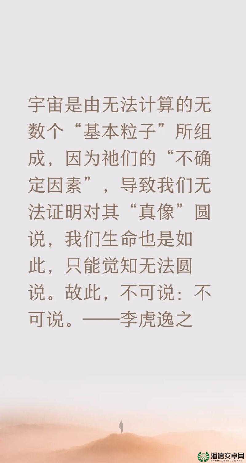 14gd18_XXXXXL56 到底是什么？其含义与作用大揭秘，快来一探究竟