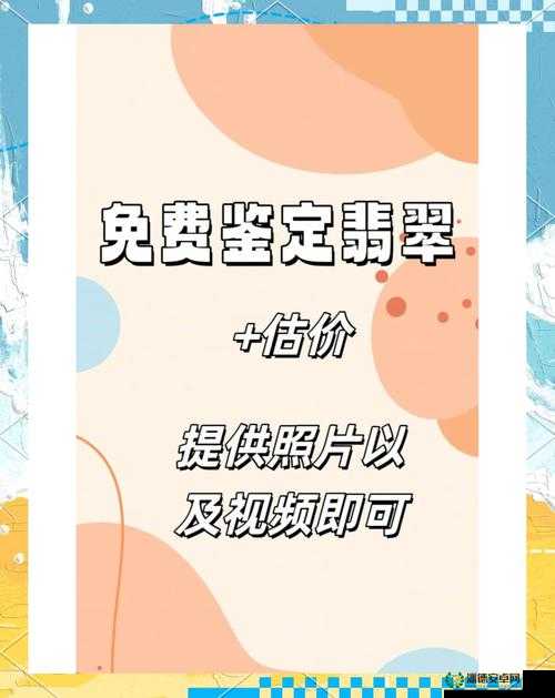 鉴定大师app免费下载安装指南：如何轻松获取并体验专业鉴定服务
