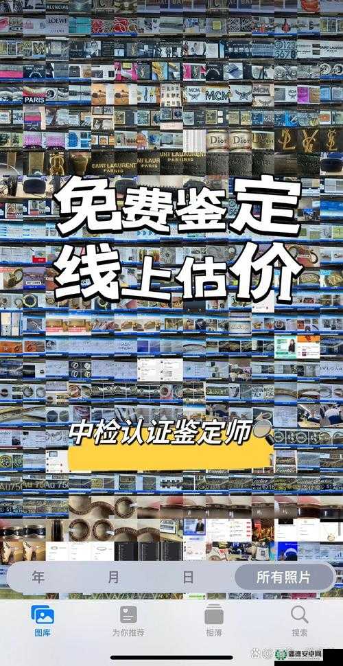 鉴定师app免费网站大全官网：一站式鉴定服务平台，专业鉴定师在线解答，免费获取鉴定报告