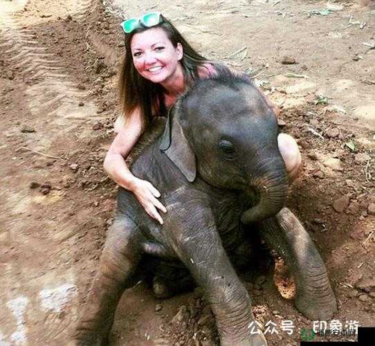欧洲美女与动物交zoz0z：是真实还是谣言？