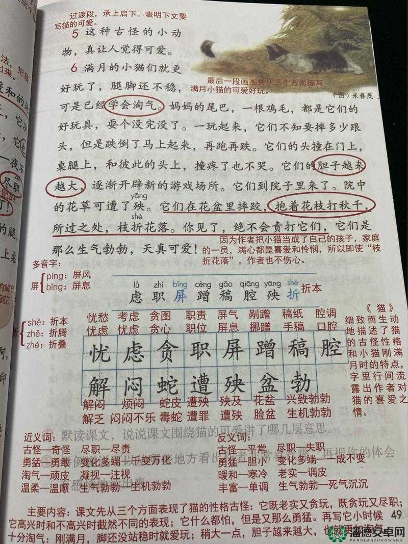 猫老爹到底讲述了什么？深入探究猫老爹的主要内容与精彩看点