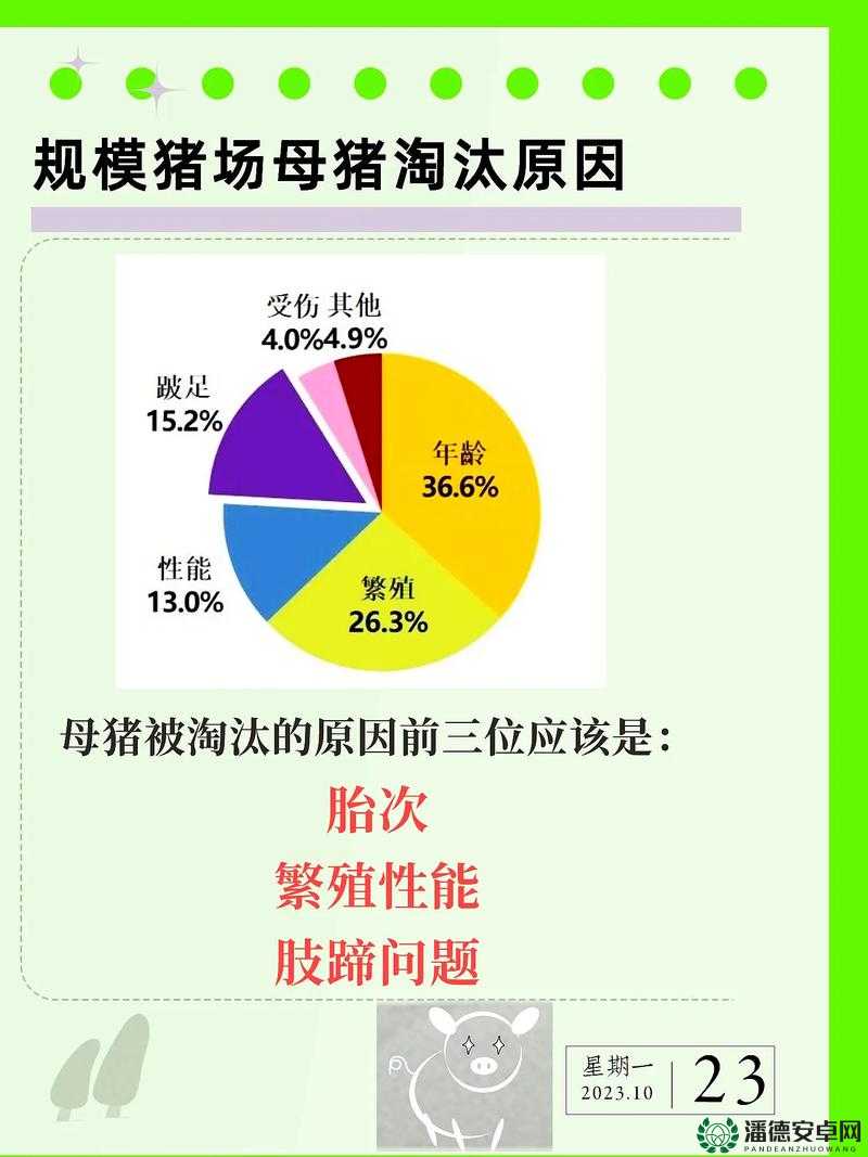 好母猪标准5选5不选：如何挑选优质母猪提升养殖效益？