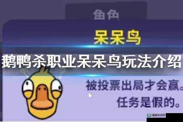 鹅鸭杀决斗呆呆鸟玩法究竟有何奥秘？深度攻略全面解析