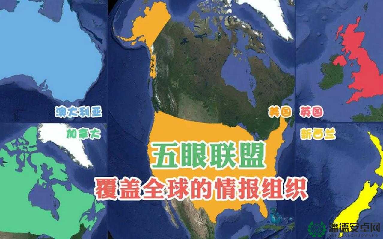 美国 1-4 和 1-6 究竟是什么？为何引发如此广泛关注与讨论？