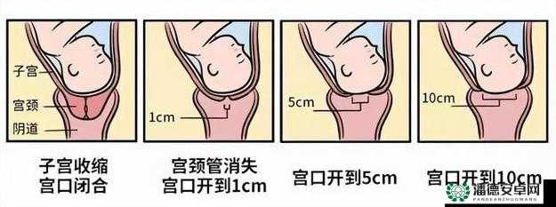 如何通过 omega 开宫口标记进行百度 SEO 优化？