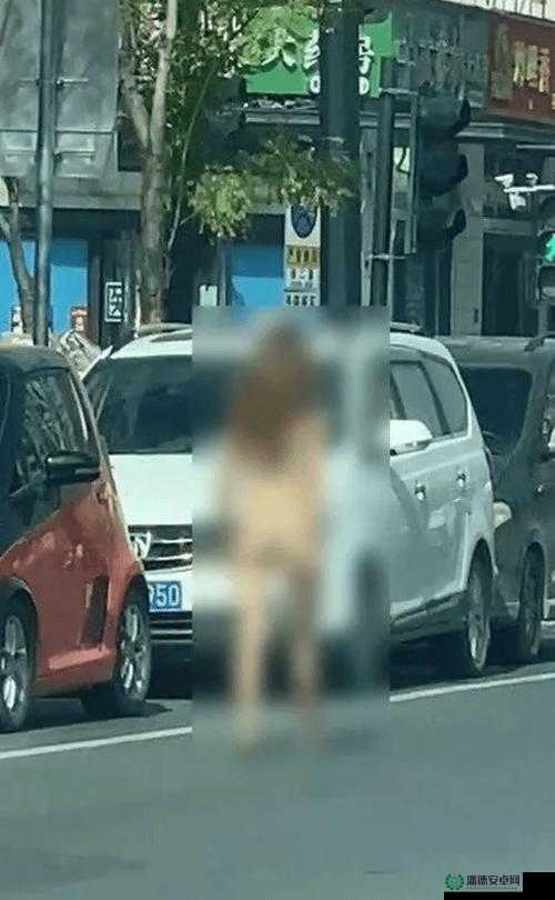 巴西裸交性视频引发争议，你怎么看？