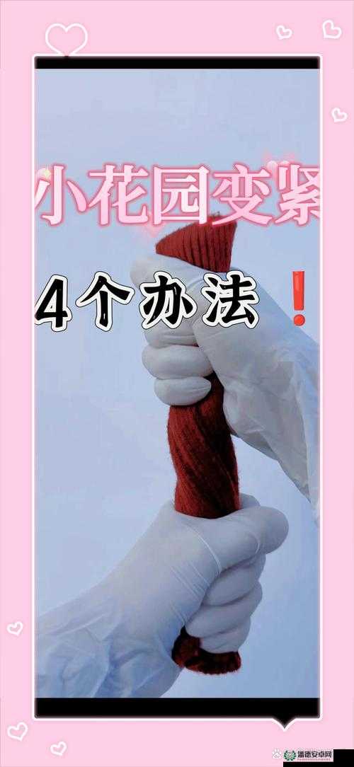 如何用力挺进她的花苞：深度解析与实用技巧分享，助你轻松掌握关键步骤