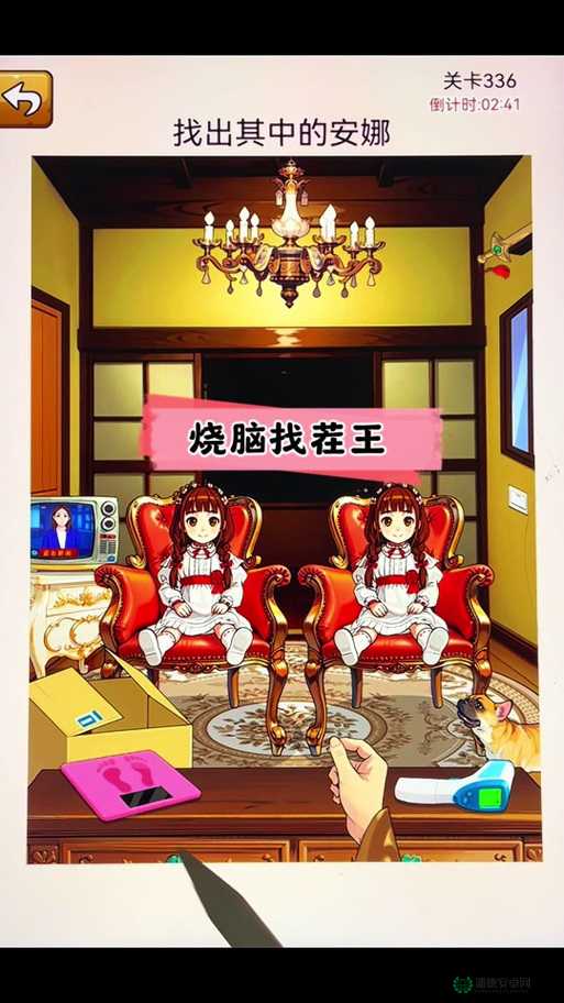 汉字找茬王第113关究竟如何通关？全面解析等你来揭秘！