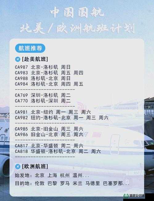 法国航班6最新动态：乘客体验、航线信息及预订优惠全解析