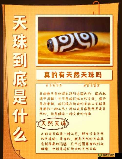 什么是秘？探秘秘的含义和起源