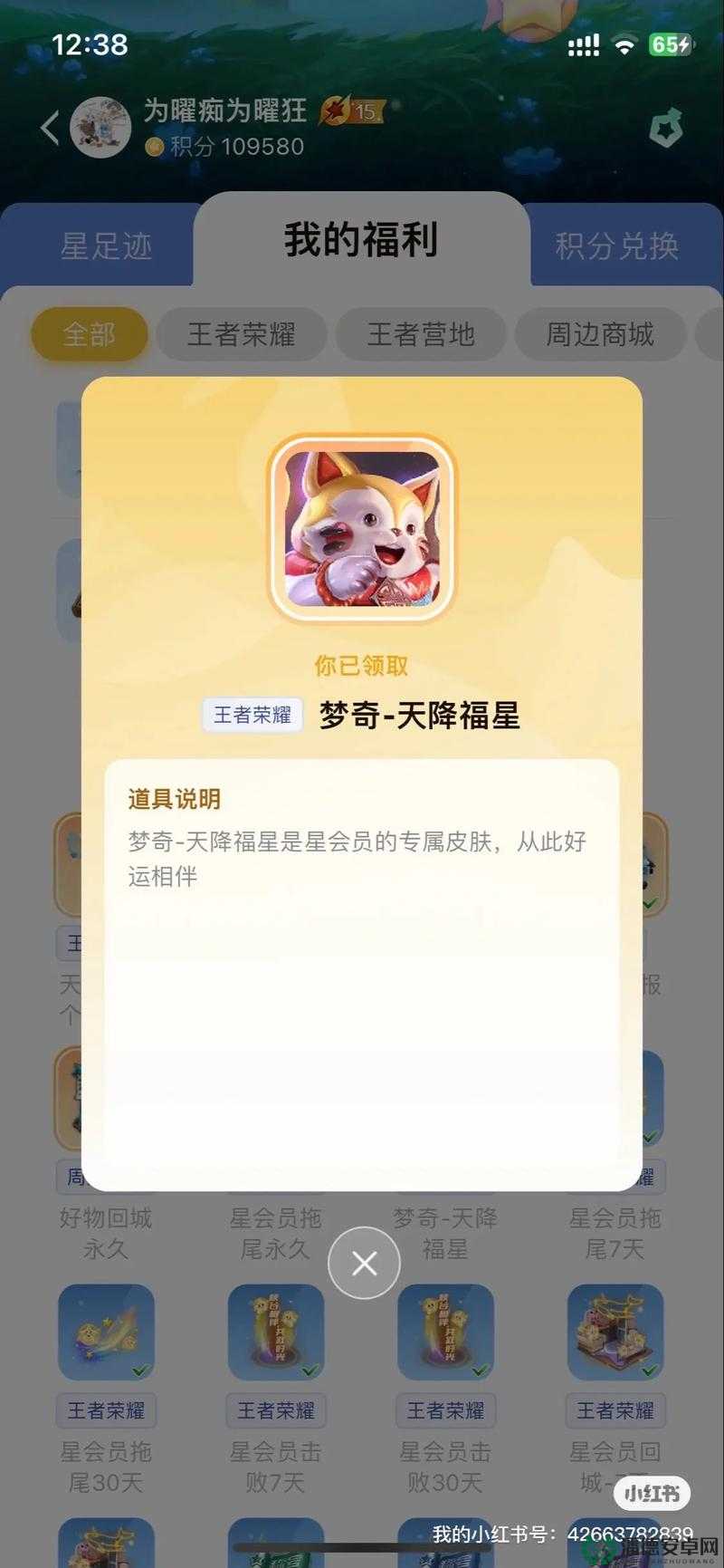 王者荣耀星会员皮肤价格究竟如何？深度解析带你揭秘！