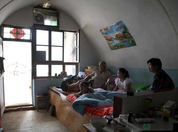东北乱大炕后续：传统炕文化在现代生活中的传承与变迁，如何影响东北家庭生活方式？