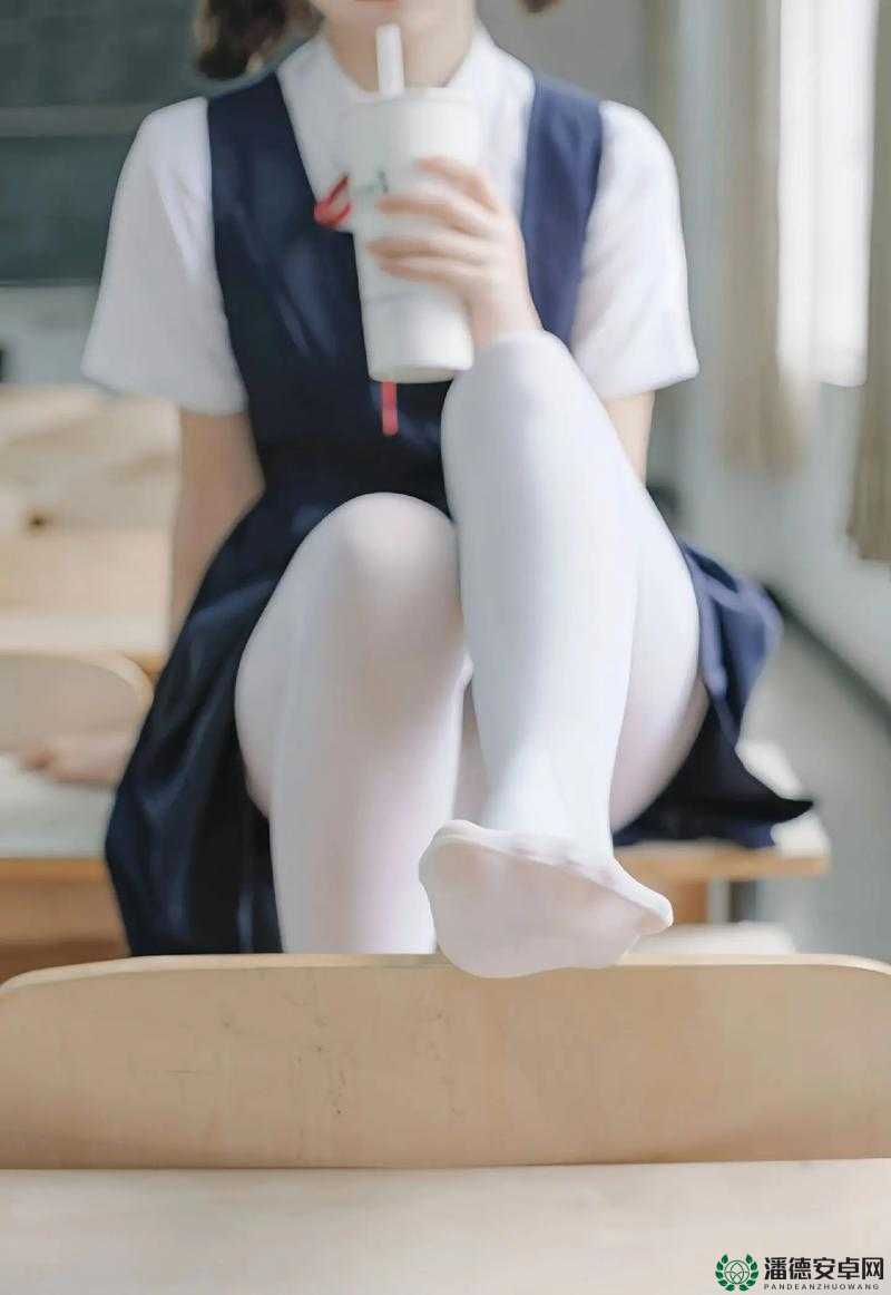 白丝裤袜校服露内写真集：青春校园风格下的时尚魅力与纯真展现