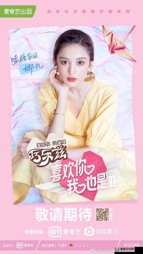 爱豆影视传媒大全免费观看：一场视觉与情感的盛宴