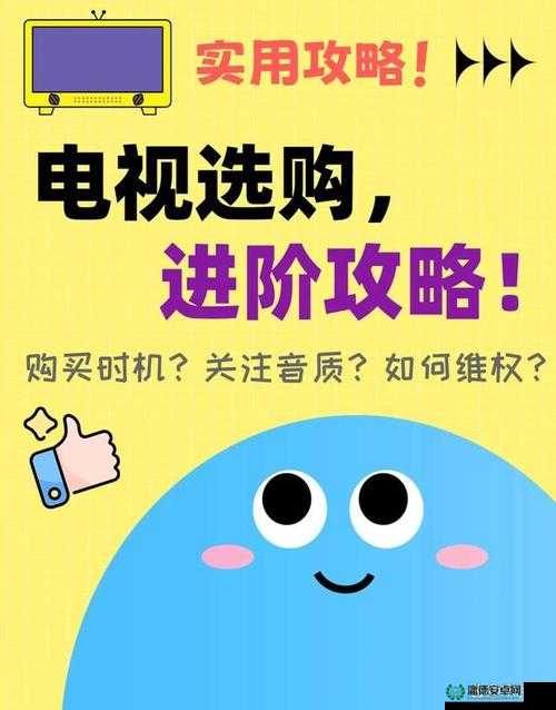 好好看电视：如何选择最适合你的电视节目？实用指南与推荐