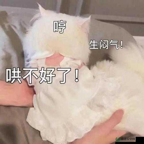 qq放在男生定眼里表情包大集合：搞笑、呆萌、治愈全都有，快来收藏