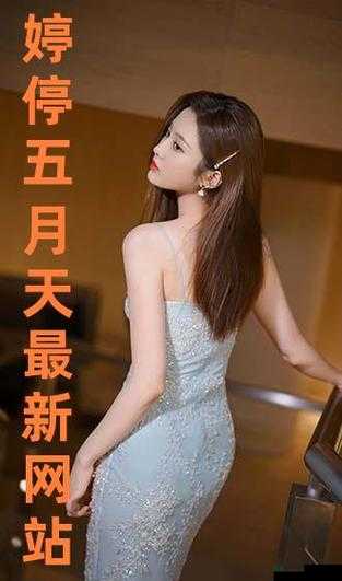 求成人综合伊人五月婷久久的资源，最好是百度网盘的