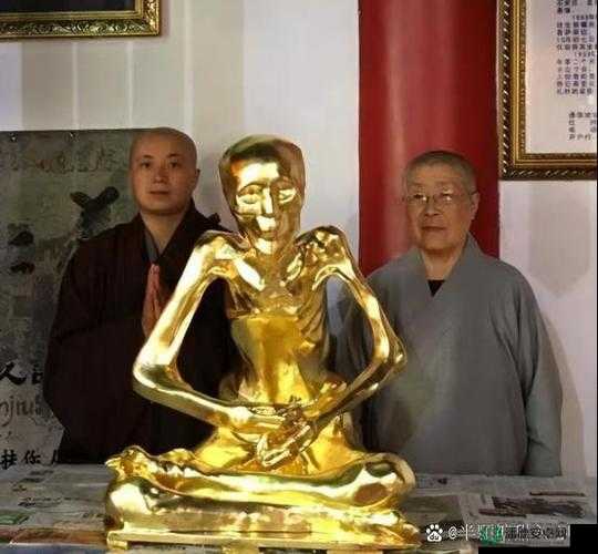 尼姑师太也需要爱情：探讨宗教与情感之间的平衡与选择