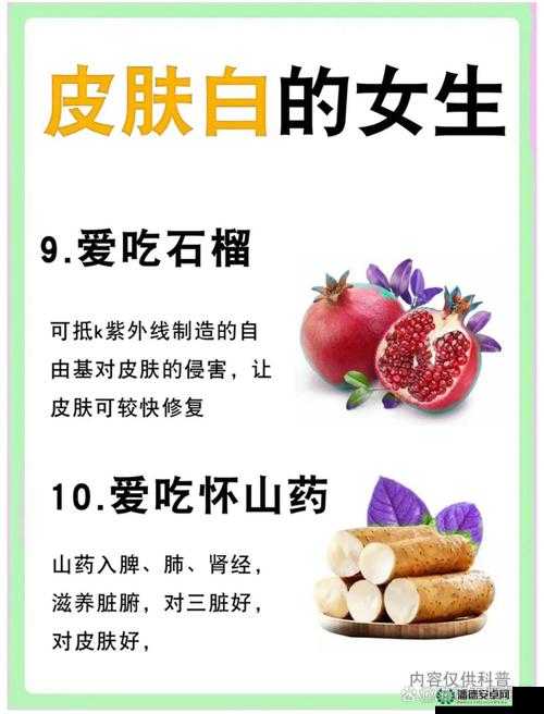 干素云的健康功效与食用方法：全面解析干素云在现代饮食中的重要作用