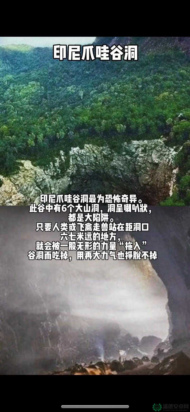 法国透露2003年秘密档案：未解之谜与历史真相揭秘
