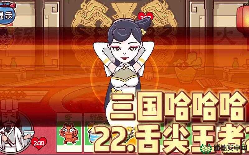 三国哈哈哈第9关究竟如何通关？全面解析带你揭秘！