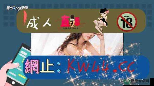 爱情岛论坛永久路线1是什么？为何它备受关注？快来一探究竟