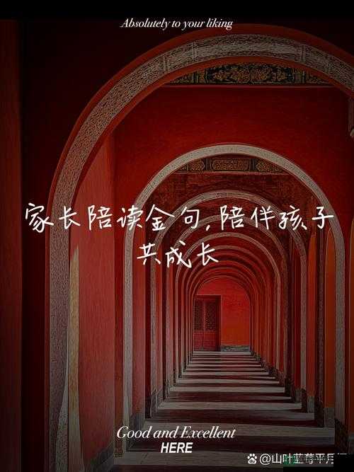 陪读之欲乱：家长与孩子共同成长的心路历程与挑战解析