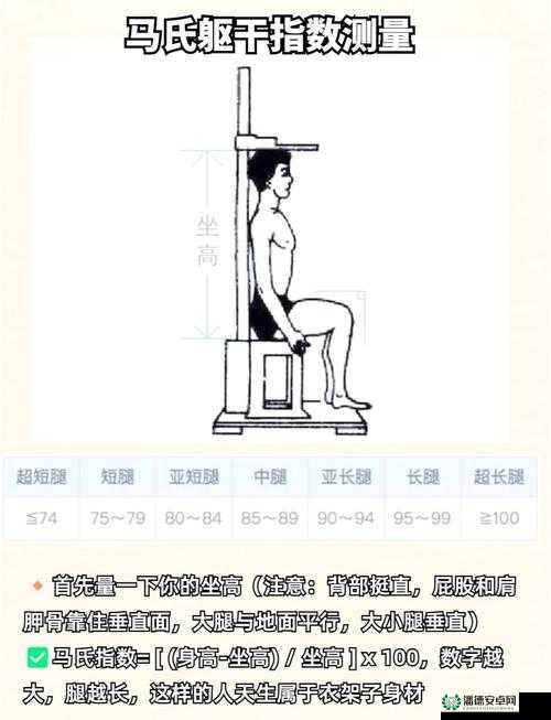 提问：腿的重量到底有多重？如何精准测量腿的重量？
