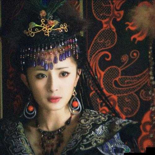 杨幂王昭君电视剧免费观看全集高清在线播放，重温经典历史剧，感受杨幂演绎的传奇王昭君故事