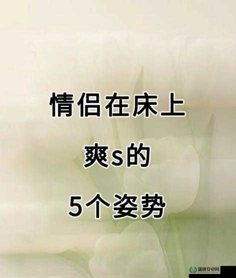 爆爽 h 是什么？为什么它能让人如此着迷？