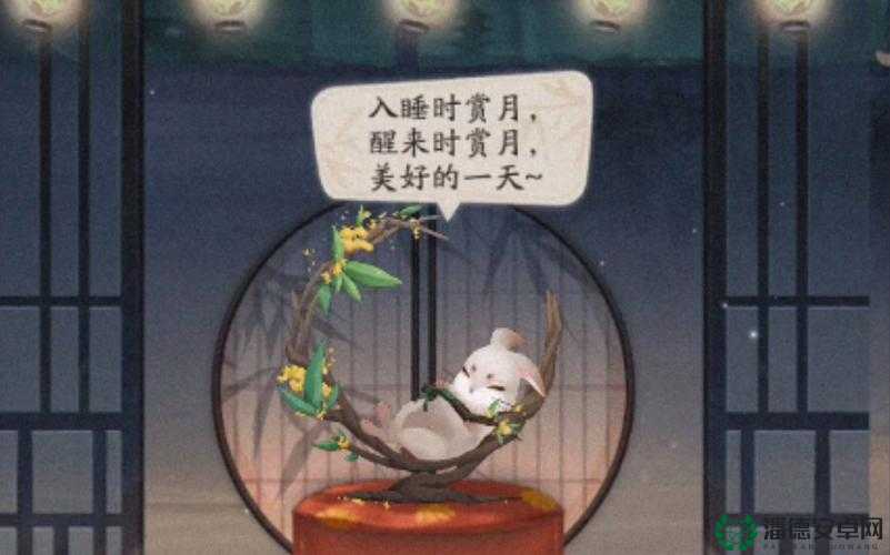 阴阳师赏月时，哪种便携甜食最受欢迎？答案即将揭晓！