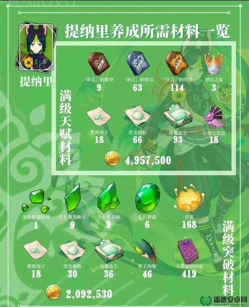 原神玩家必看，提纳里圣遗物如何选择，才能全方位解锁角色潜力？