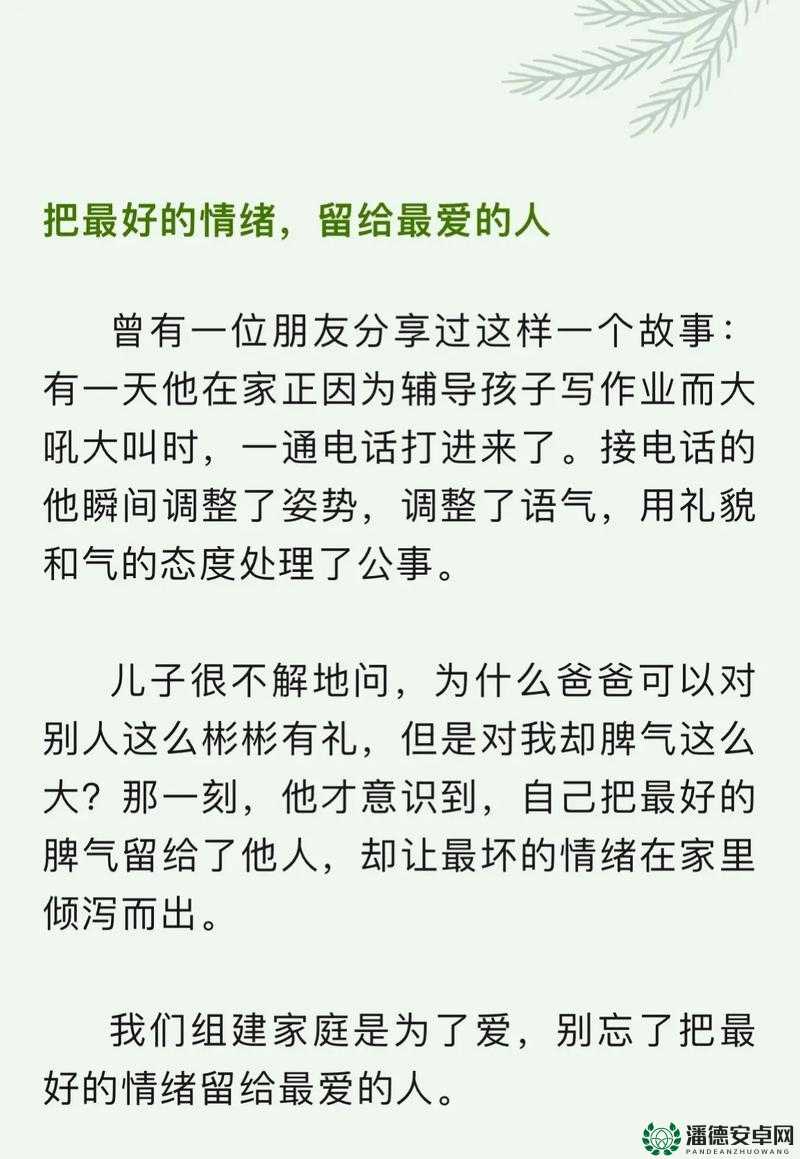 如何巧妙破解文字的力量第二十关？深度图文通关方法揭秘！