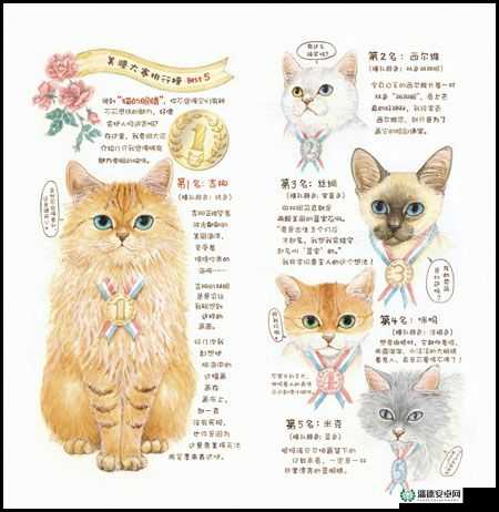 猫之城血月之殇，如何培育与合成？全面解析揭秘悬念！