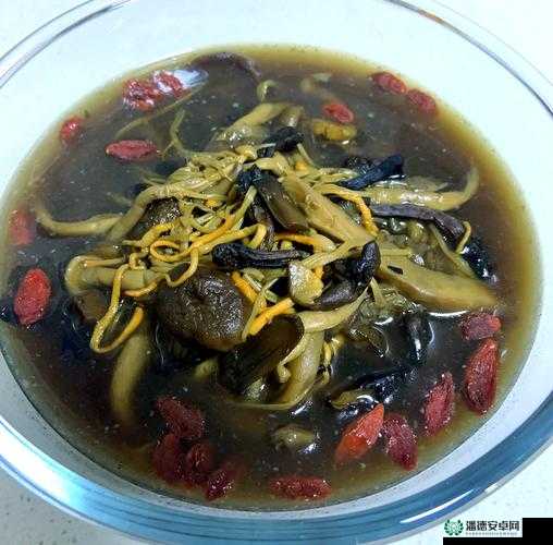 玛娜希斯回响中菌菇汤食谱配方究竟是什么？快来揭秘！