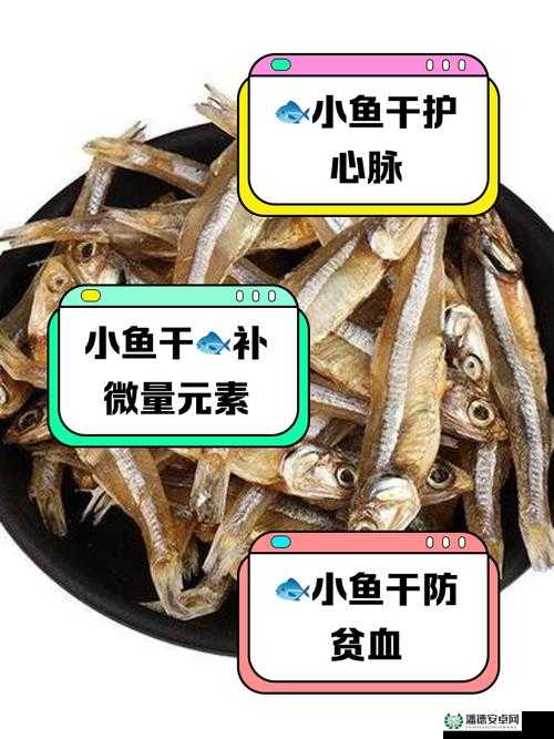 纯白和弦中小鱼干到底该如何使用？快来看看详细方法介绍！