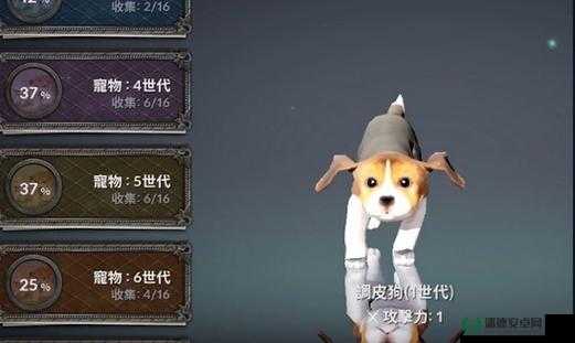 如何在黑色沙漠手游中高效更换宠物？深度攻略揭秘！