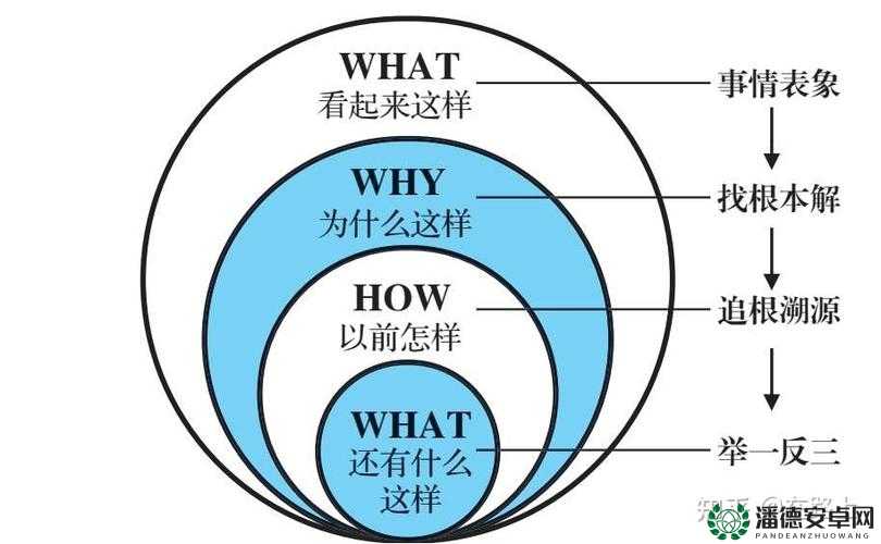 深空之眼管理喵该如何选择？底层逻辑与实战操作全解析揭秘！