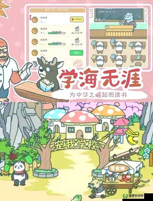如何选择宠我一生课程？揭秘打造专属萌宠成长之路的全攻略