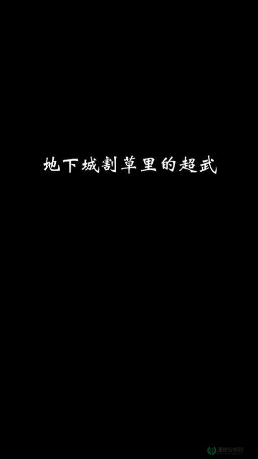 地下城割草超武如何合成？全攻略揭秘合成方法与搭配技巧！