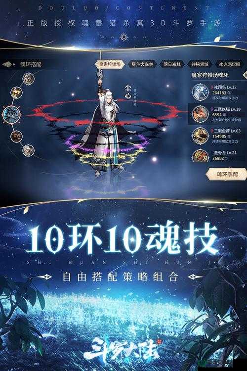 混搭修仙时，魂环选择究竟该如何抉择？推荐攻略揭秘悬念！