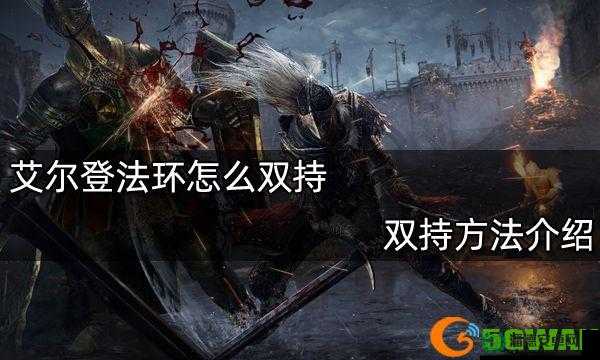 艾尔登法环玩家必看，如何操作双持武器切换按钮全攻略揭秘？